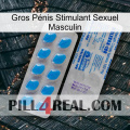 Gros Pénis Stimulant Sexuel Masculin new15